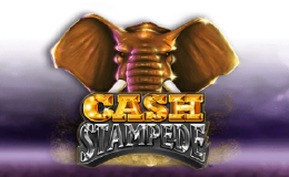 Cash Stampede