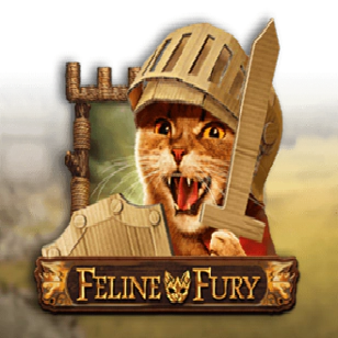 Feline Fury